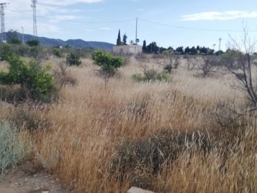 Terreno residencial en venta en Pedanías Centro