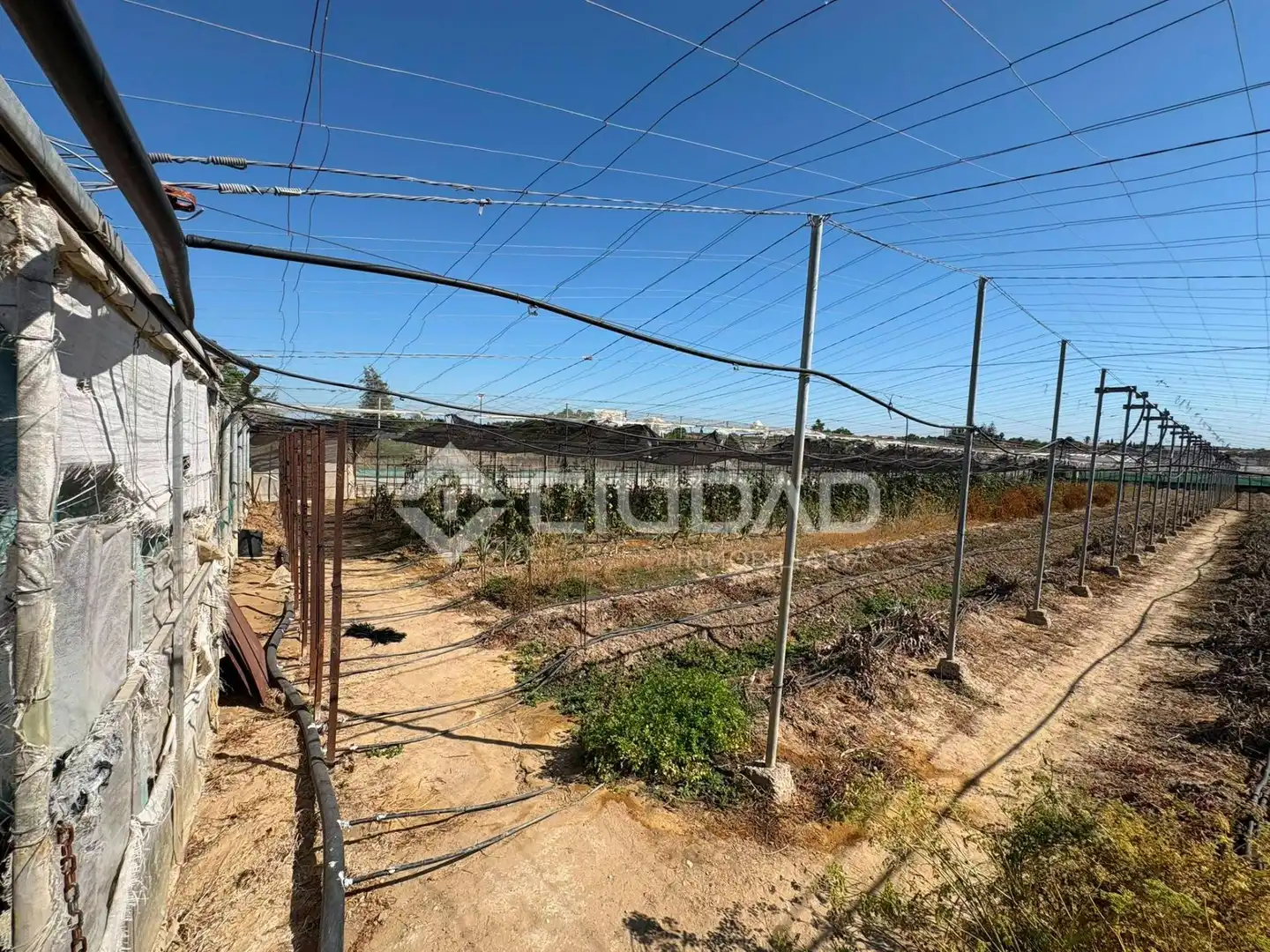 Terreno en venta en Sanlúcar de Barrameda