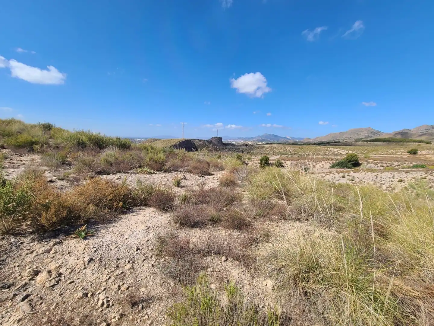 Terrains et parcelles à vendre à Pedanías Centro, imagen 37