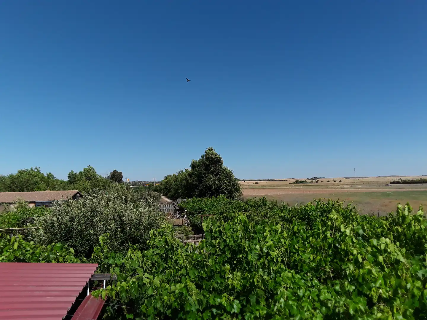Xalet amb piscina en venda a Fuente El Saz de Jarama, imagen 11