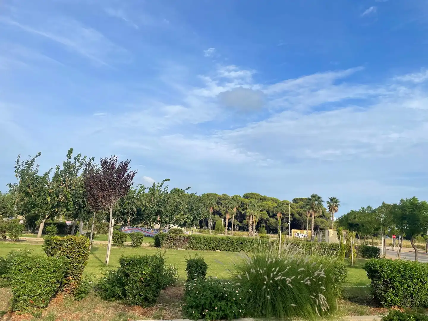 Garden of Residential for sale in Oropesa del Mar / Orpesa