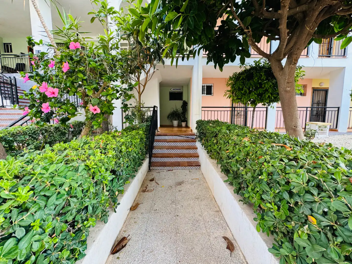 Vista exterior de Apartamento en venta en Torrevieja con Aire acondicionado, Calefacción y Terraza