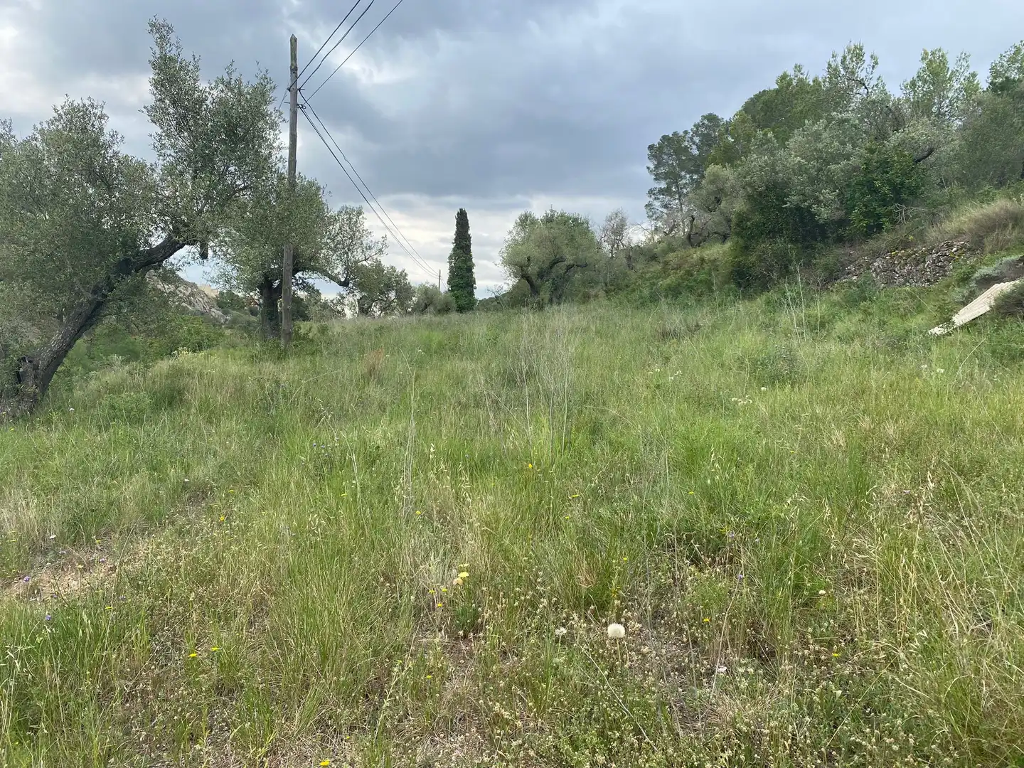 Terreny residencial en venda a Castellvell del Camp, imagen 4