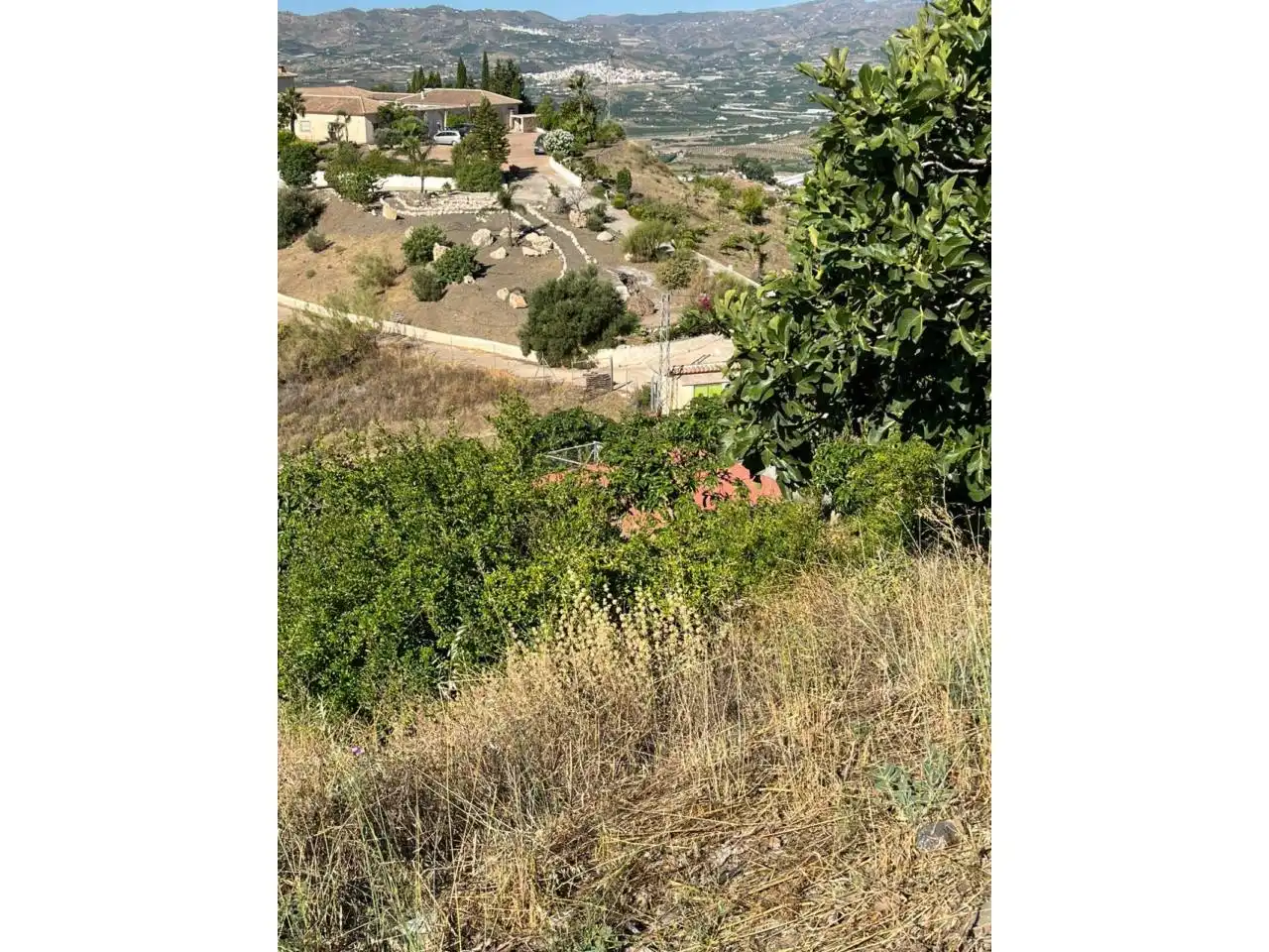 Terreni e lotti in vendita a Calle Tejares, imagen 35