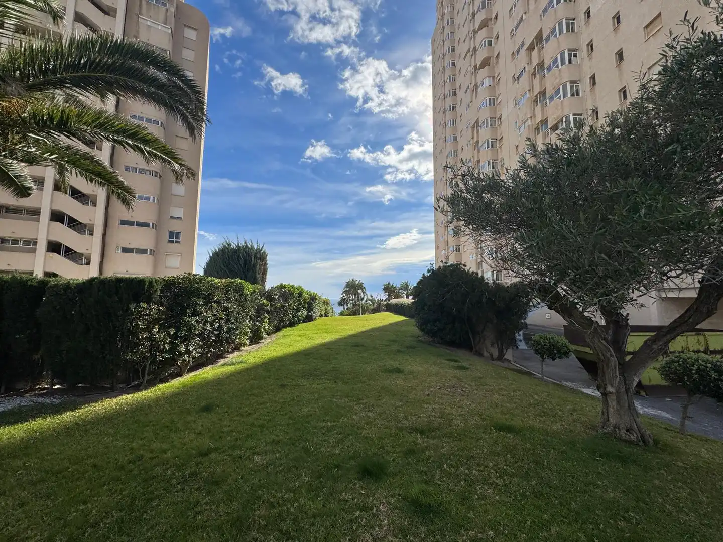 Apartament de lloguer a Carrer Mangraner, 3, Playa Muchavista