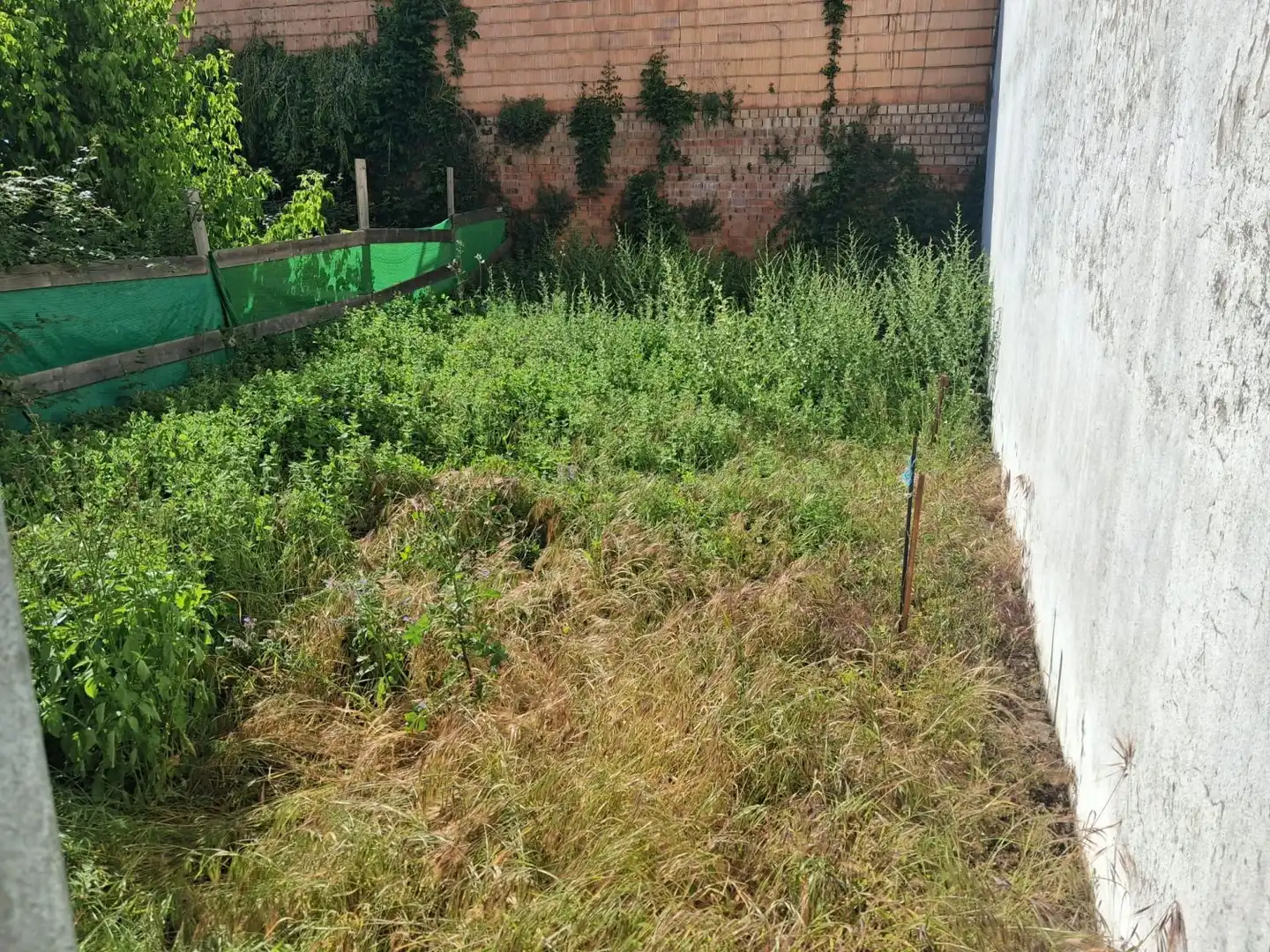 Grundstücke und Bauplätze zum Verkauf in Aracena, imagen 2