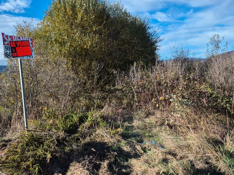 Land for sale in Monterrei