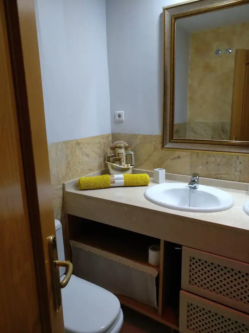 Bany de Casa o xalet en venda en Córdoba amb Aire condicionat, Calefacció i Terrassa
