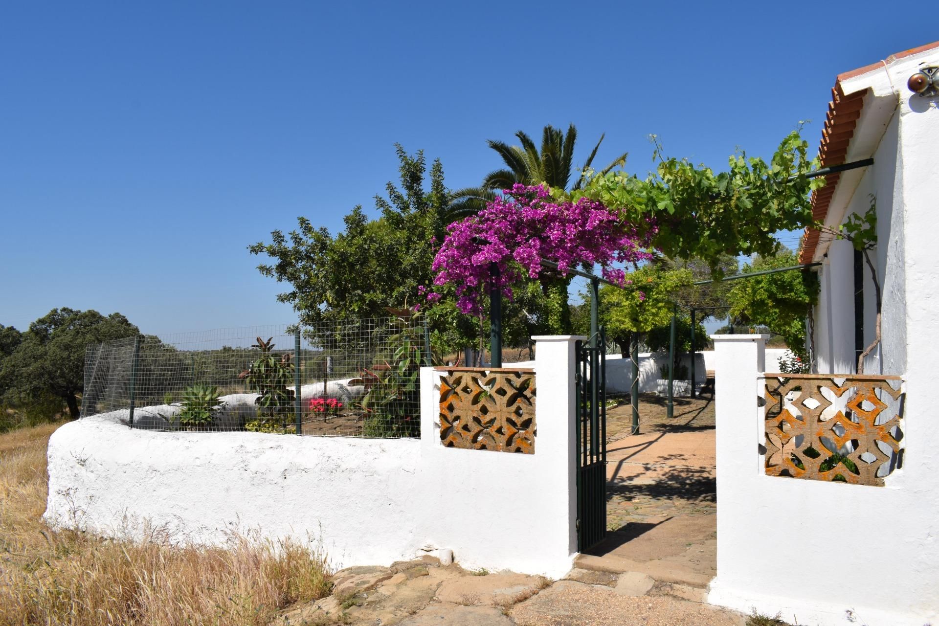 Jardí de Finca rústica en venda en Villanueva de los Castillejos amb Jardí privat, Terrassa i Traster
