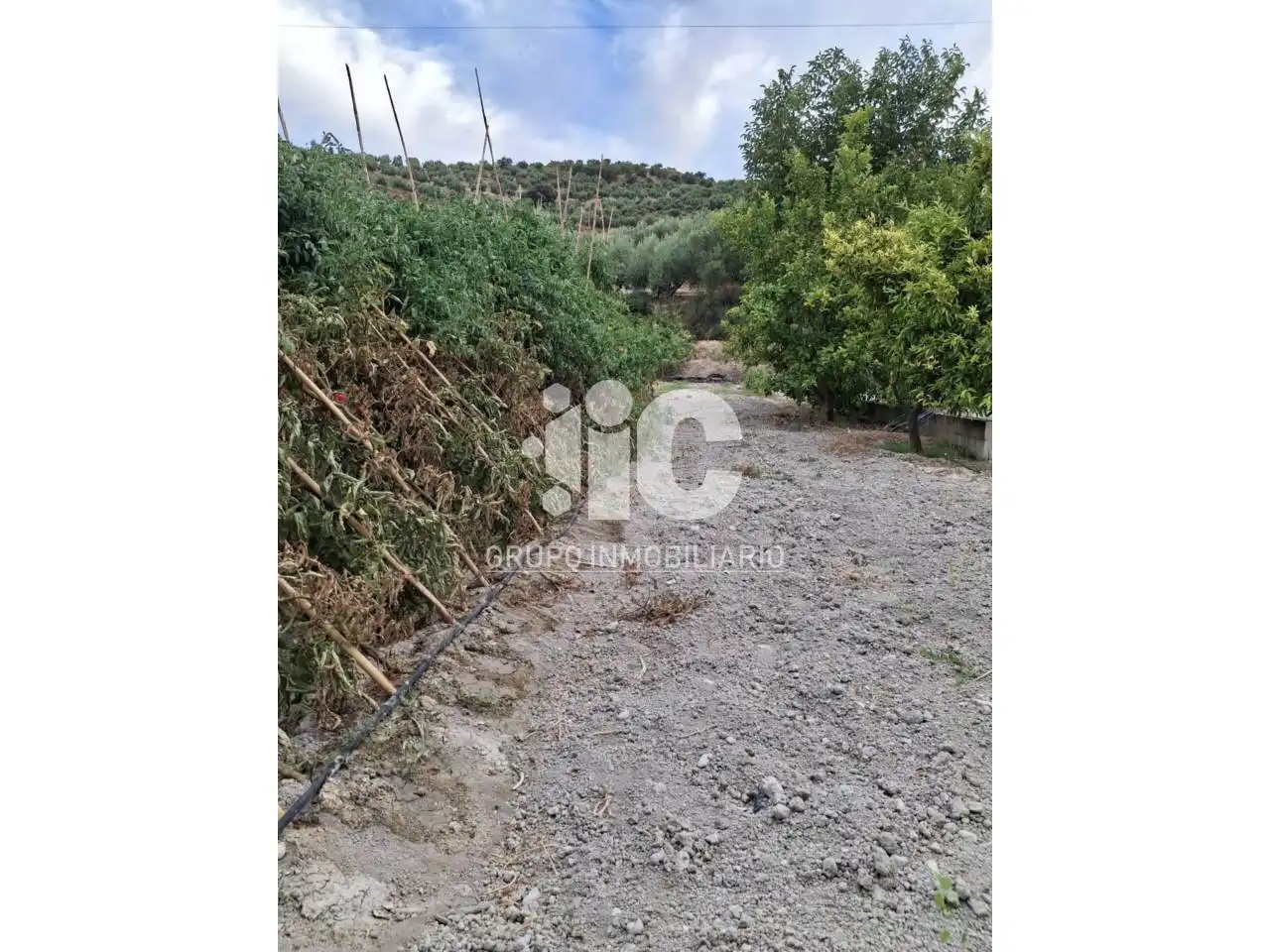 Terreny residencial en venda a Baena, imagen 5
