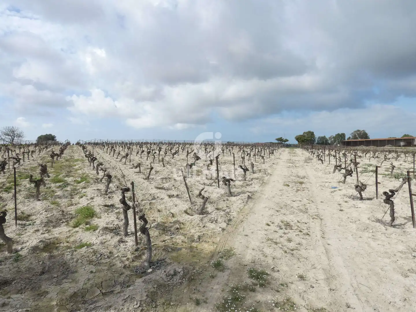 Rustikales Grundstück zum Verkauf in Ctra Jerez - Ctra del Puerto, imagen 13