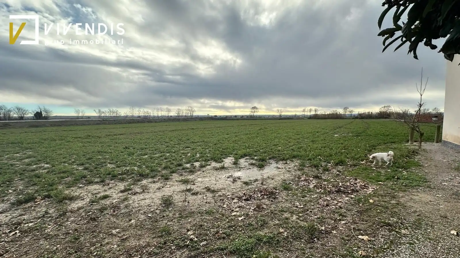 Finca rústica en venda en Anglesola amb Calefacció, Traster i Balcó