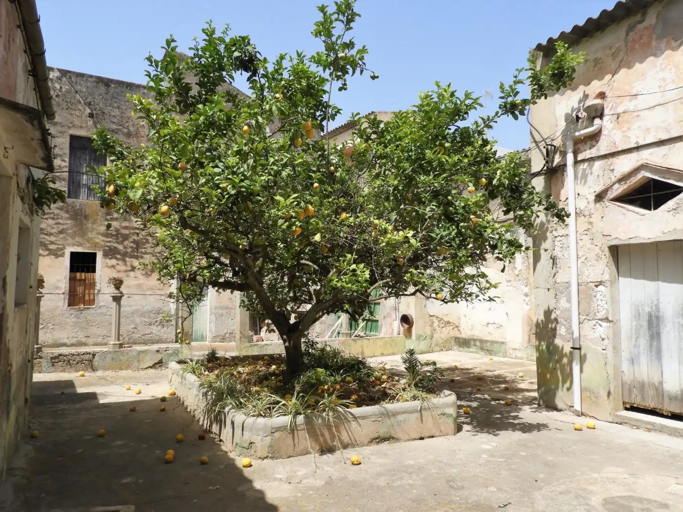 Jardí de Casa o xalet en venda en Felanitx amb Jardí privat, Terrassa i Traster