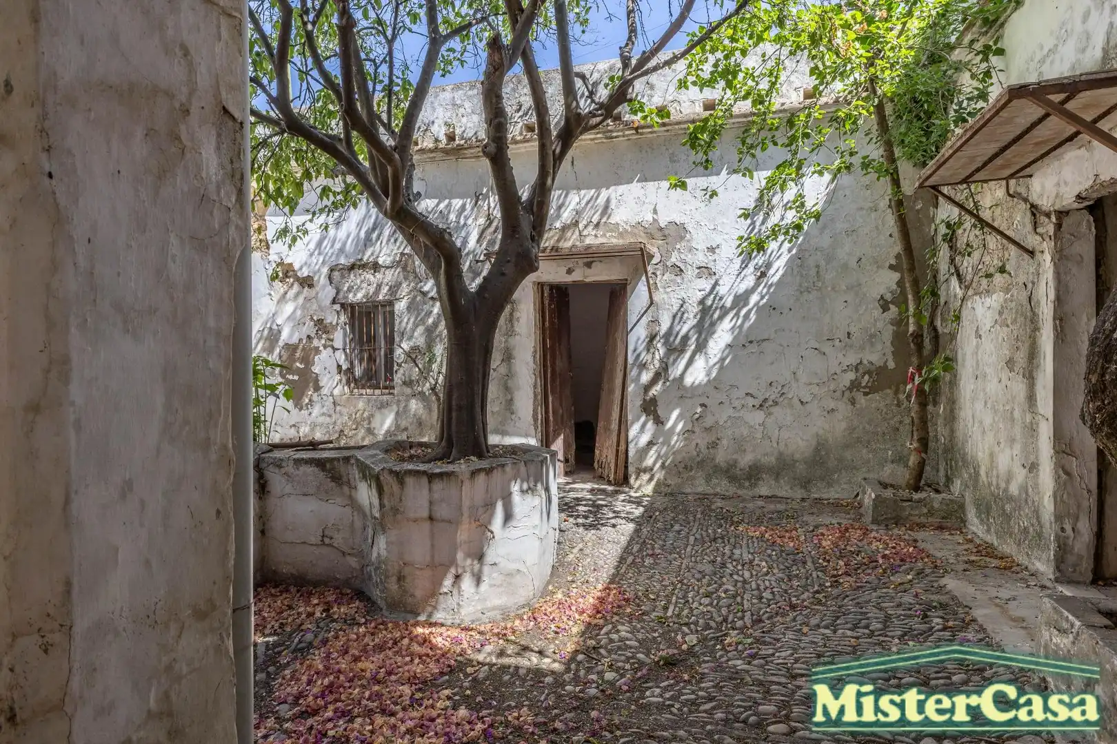 Casa en venda a Arcos de la Frontera, imagen 87
