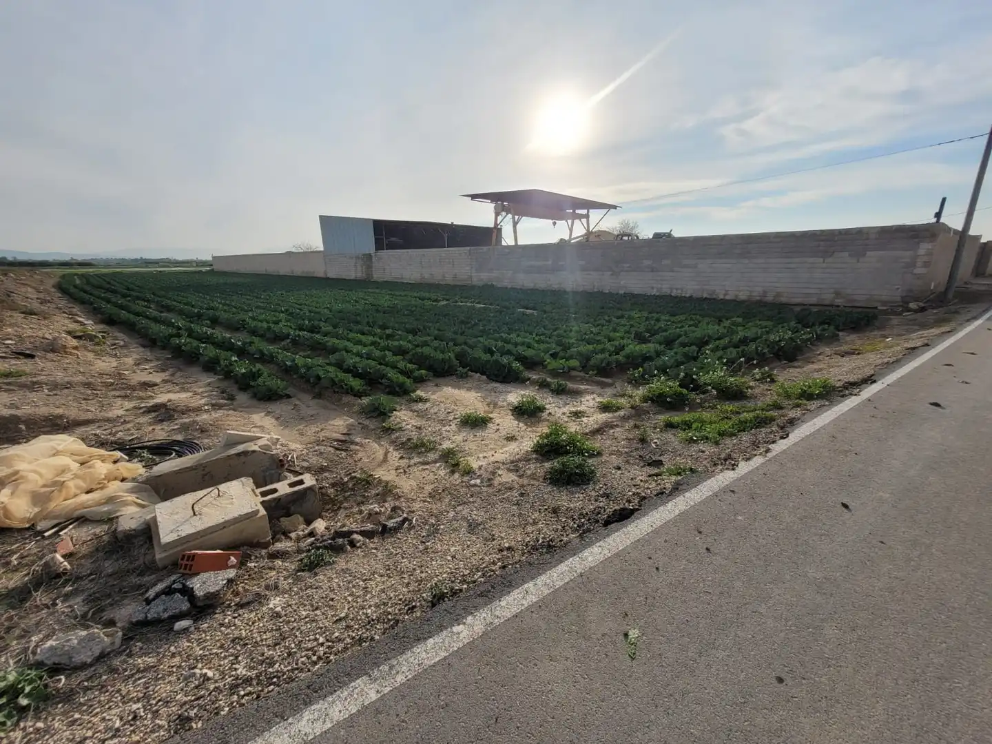 Terreno rustico in vendita a Montepinar - La Aparecida - Raiguero, imagen 4