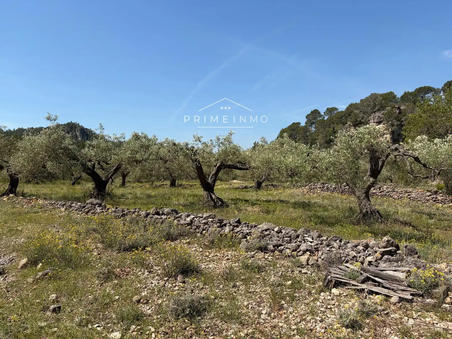 Terreno rústico en venta en L'Ametlla de Mar pueblo, imagen 14