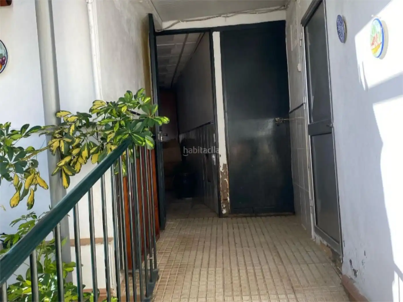 Apartamento en venta en Calle Pino 9, imagen 12