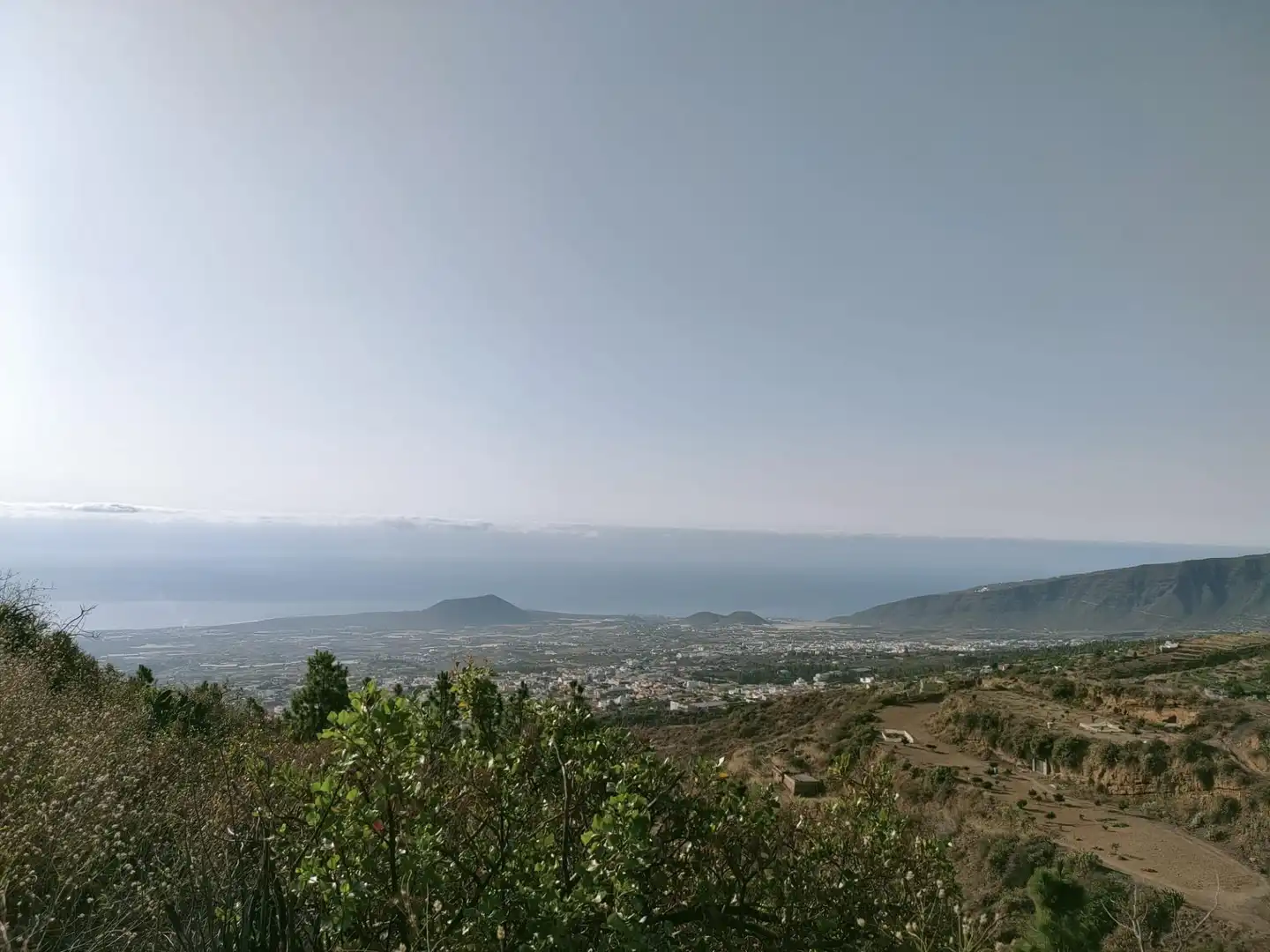 Rural land for sale in Arafo