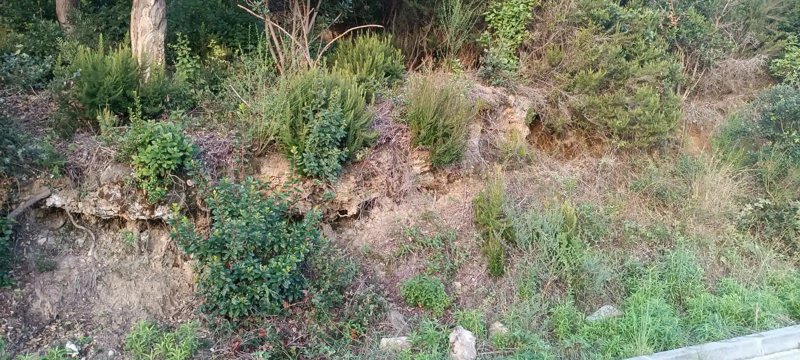 Terreno residencial en venta en Palafolls, imagen 7