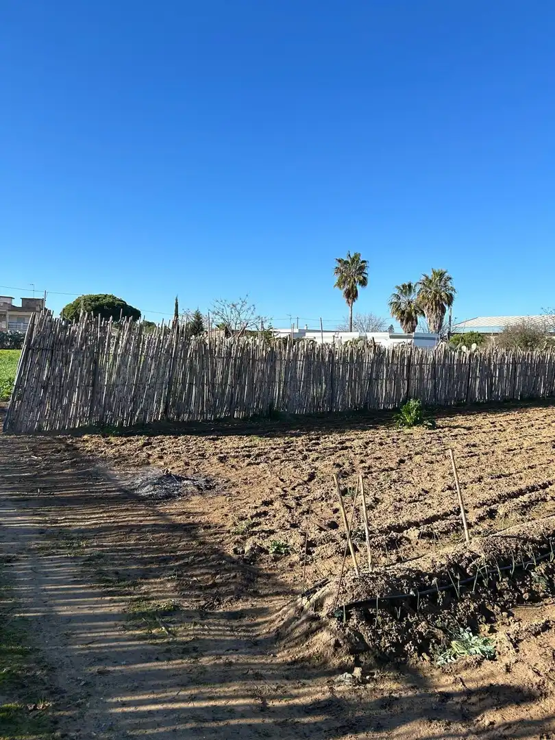 Grundstücke zum Verkauf in Chipiona