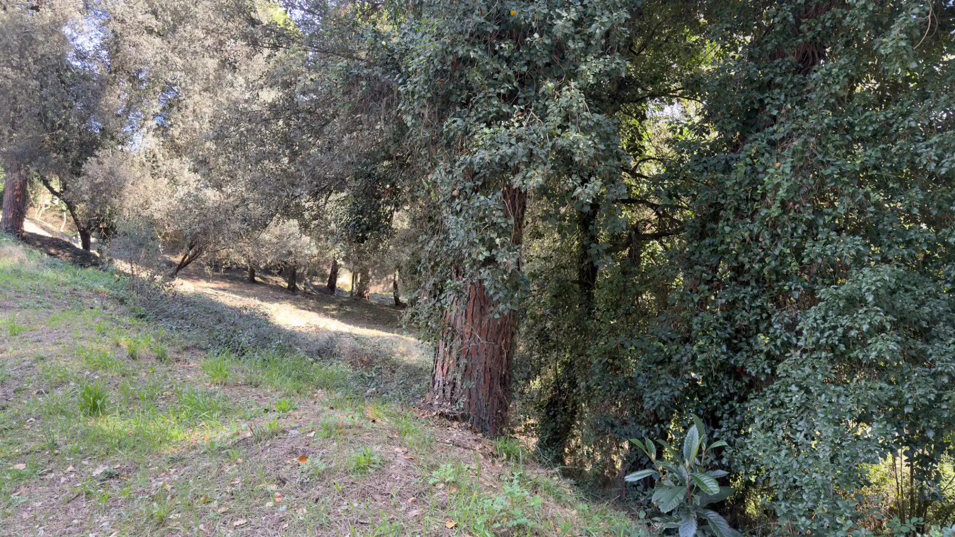Residencial en venta en Girona