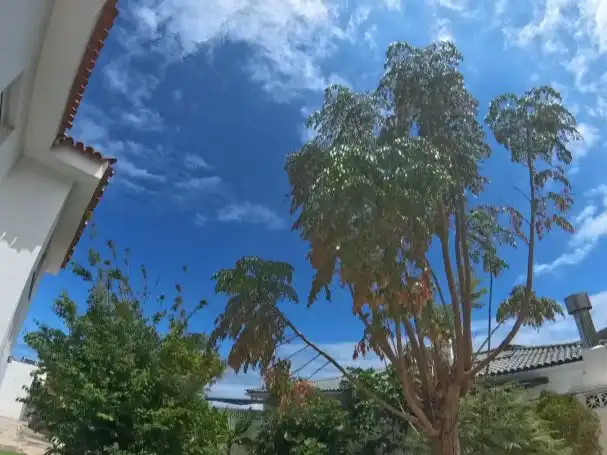 Detached house with garden for sale in Calle Camelia 162, imagen 3
