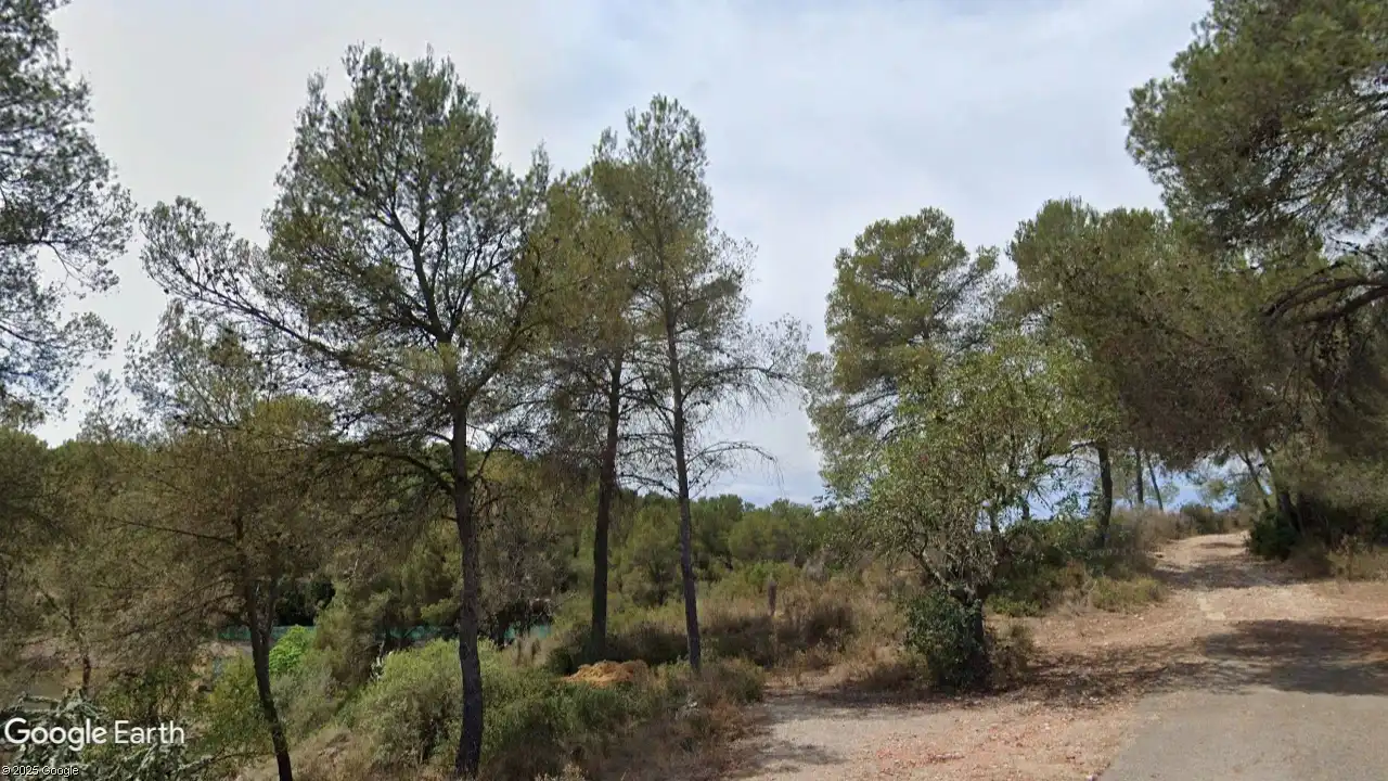 Terreno rústico en venta en Les Creuetes Poligon 38 296, imagen 4