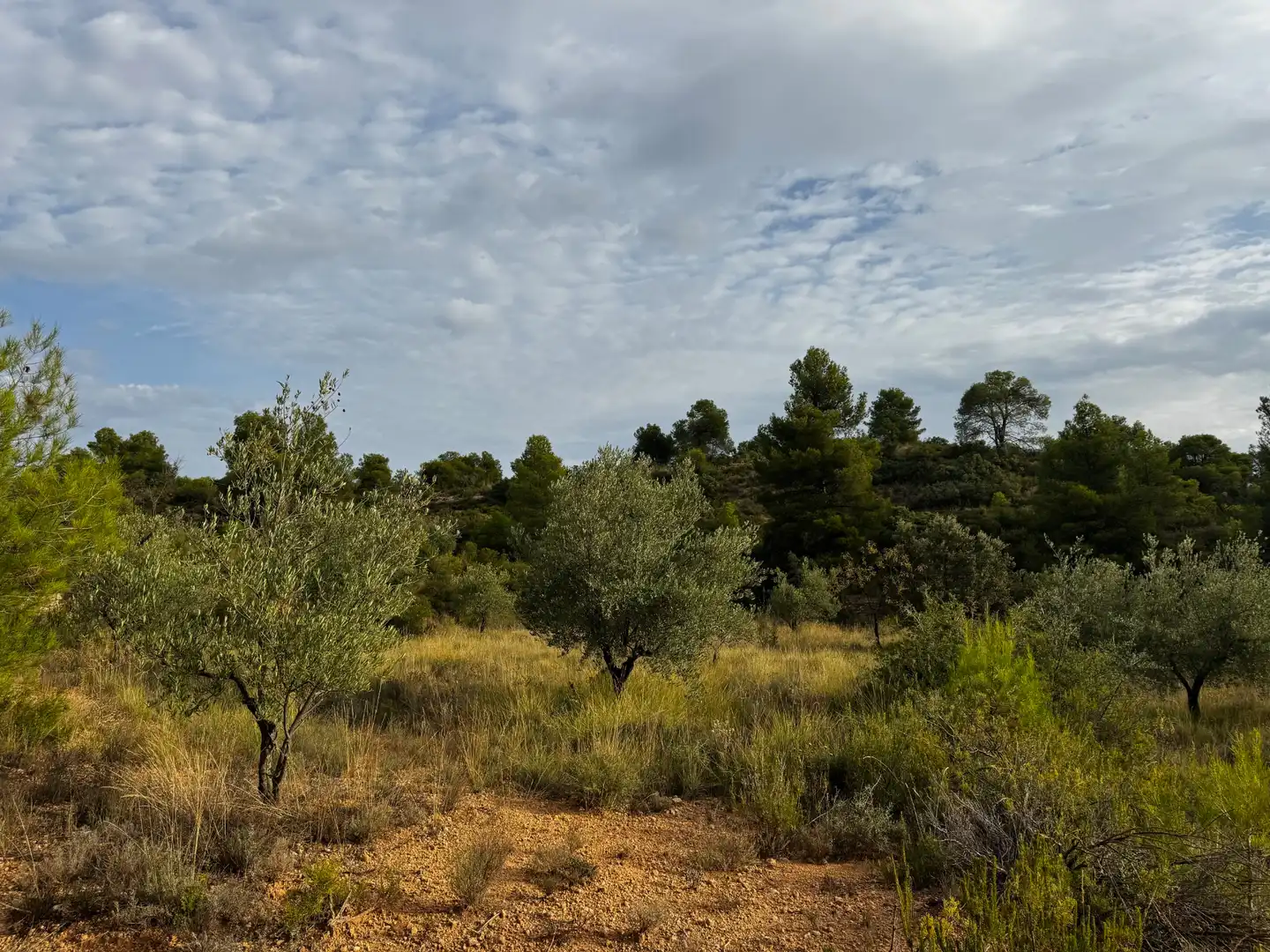 Terreni e lotti in vendita a Cretas, imagen 5