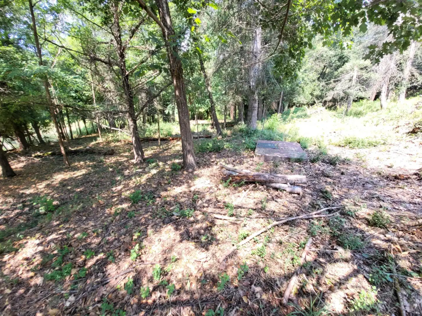 Casa rustica con giardino in vendita a DS CAN TARRES II Polígono 10 Parcela 14 001300900, imagen 41