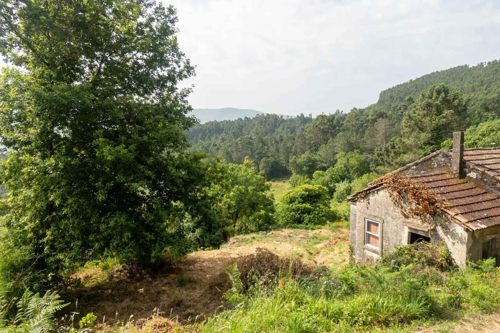 Finca rústica en venda en Arbo amb Jardí privat
