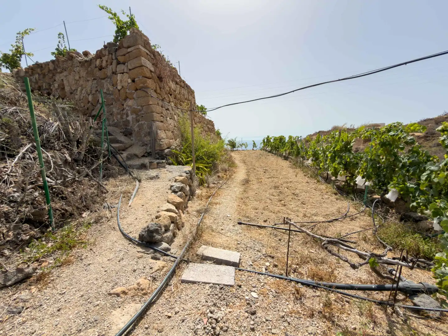 Finca rústica en venda en Güímar