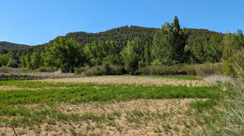 Maset en el río, immagine 3