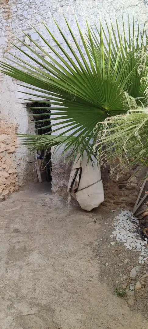 Exterior view of Commercial properties for sale in Tahal