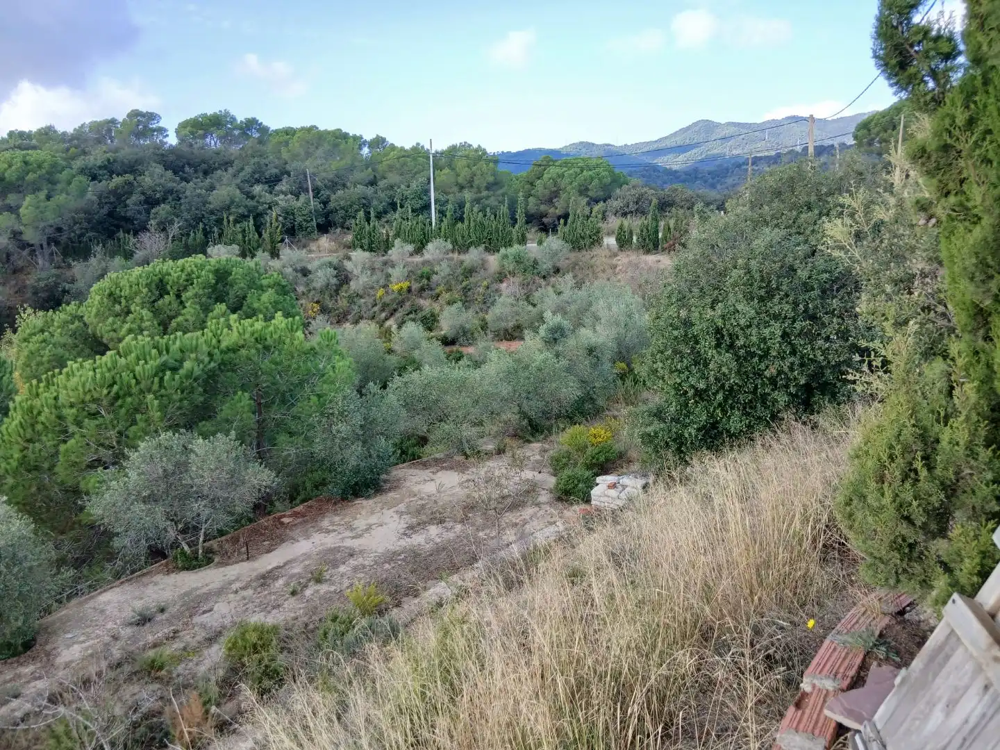 Terrain rustique à vendre à Avinguda Mirador 57, imagen 2