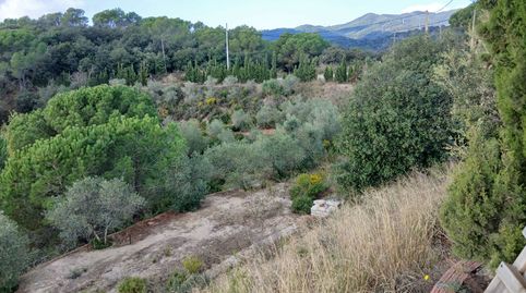 Immagine 2 dell'annuncio
