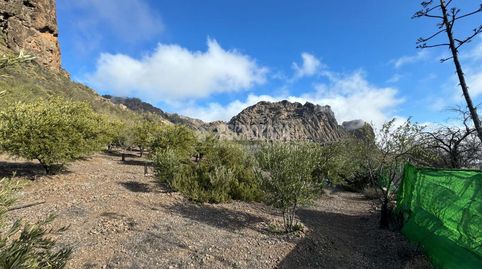 Foto 4 de Terreno en venta en San Bartolomé Interior, San Bartolomé de Tirajana