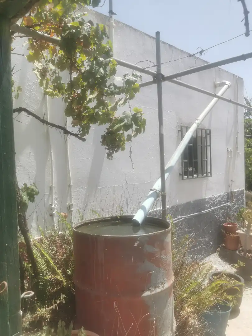 Jardí de Terreny en venda en Fasnia