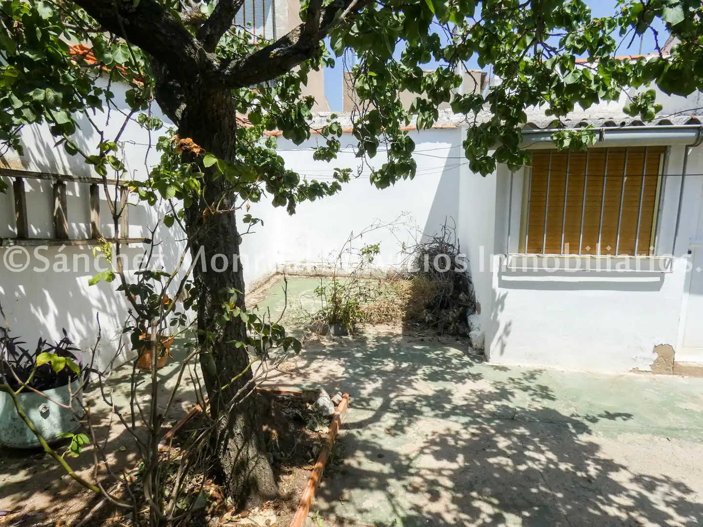 Casa o xalet en venda en Alcázar de San Juan amb Aire condicionat, Calefacció i Jardí privat