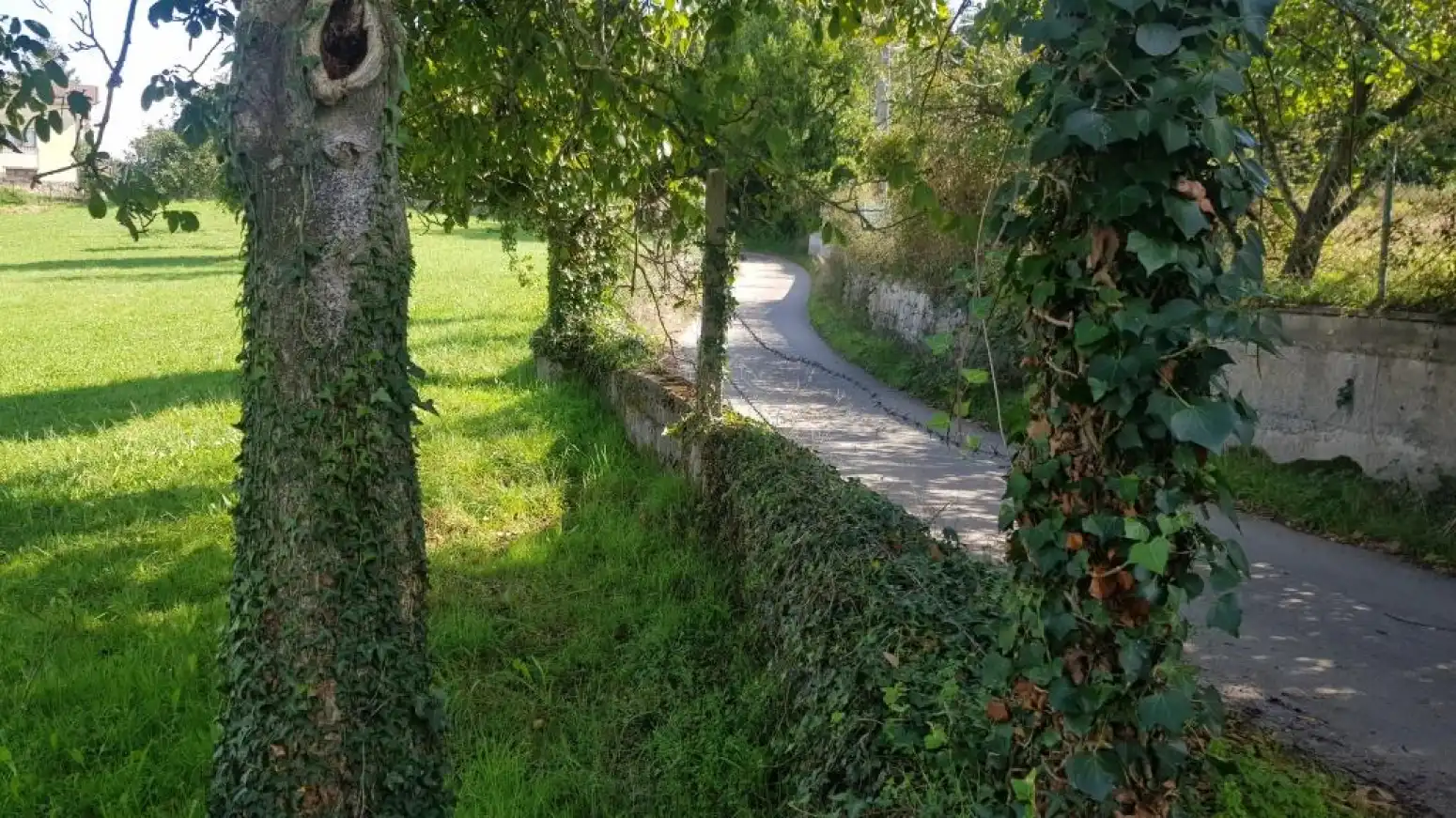Residential land for sale in San Miguel - SAN MIGUEL DE LA BARRERA, imagen 5