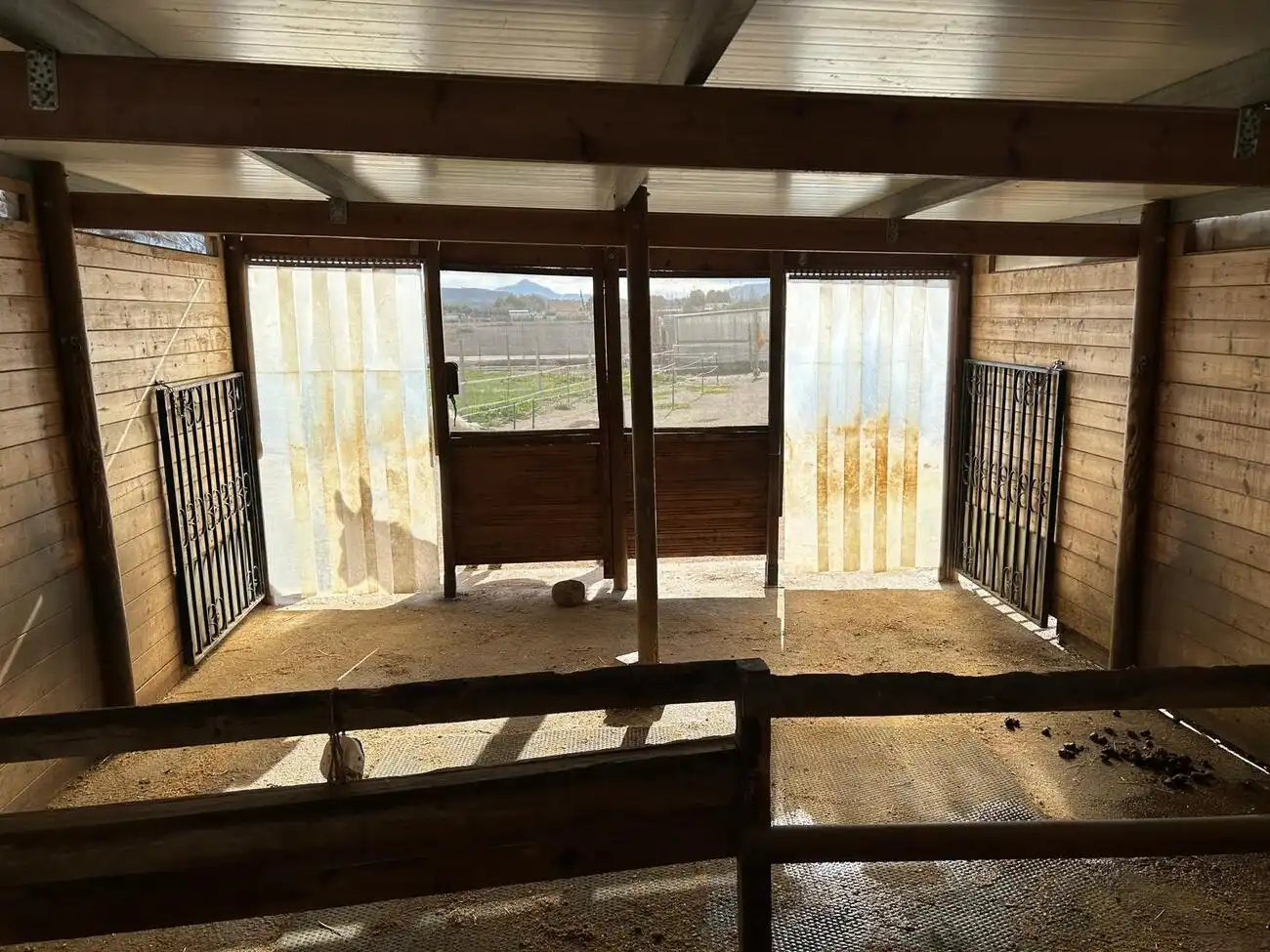 Vista exterior de Finca rústica en venta en Villena con Piscina
