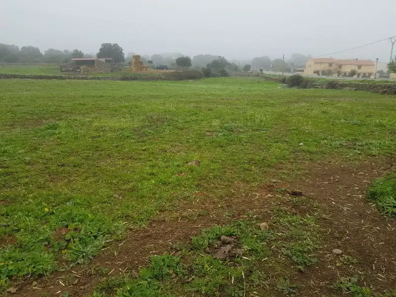 Terreni e lotti in vendita a Oliva de Plasencia, imagen 11