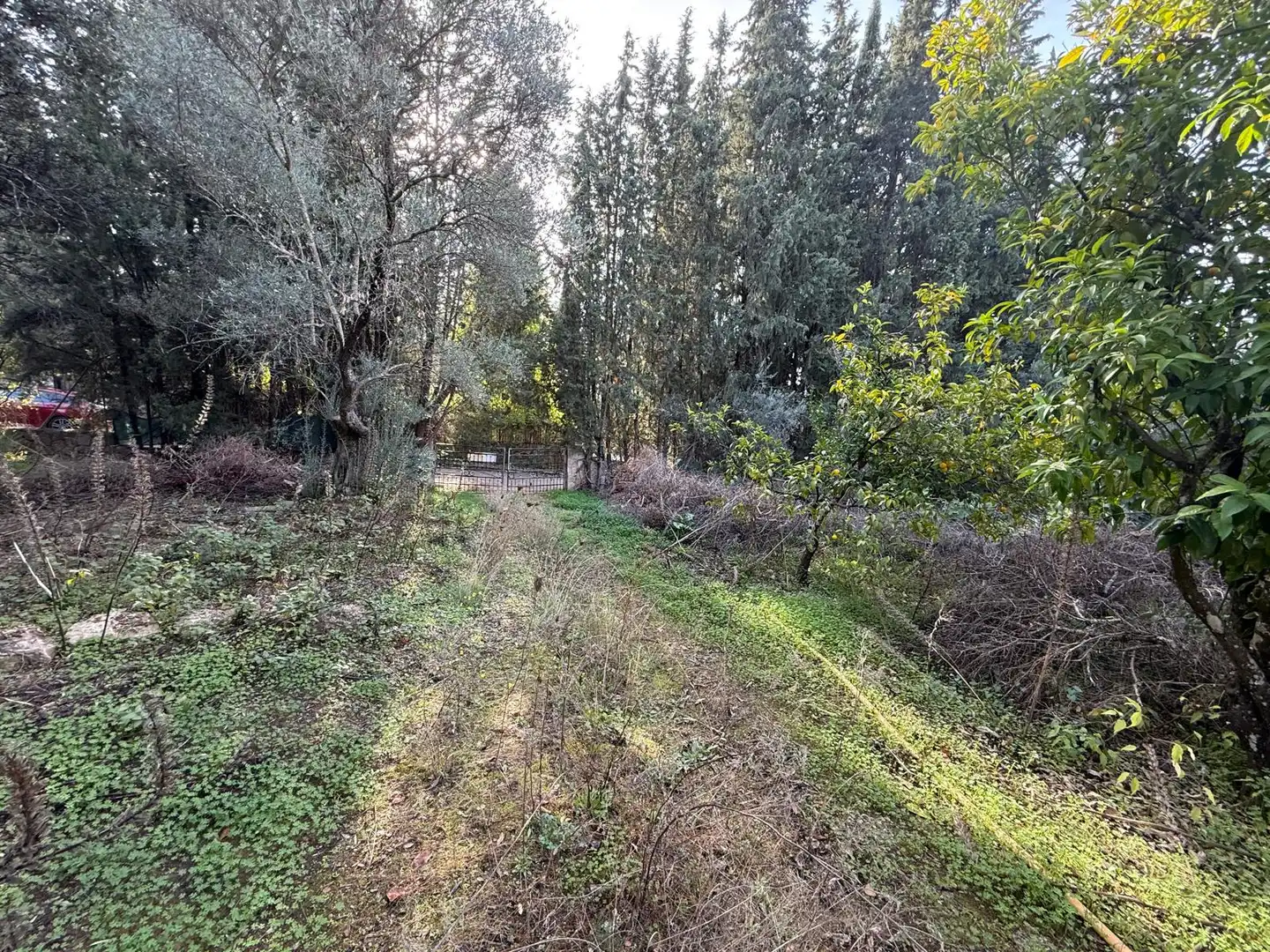 Wohnbaugrundstück zum Verkauf in Norte-Sierra, imagen 15