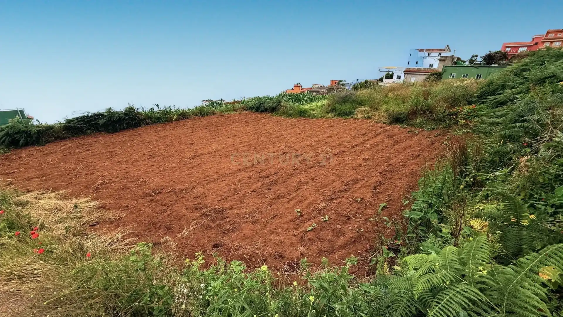 Terreno en venta en Los Realejos
