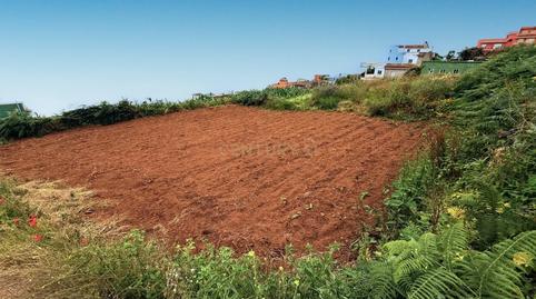 Photo 2 of Land for sale in Los Realejos, -1, Icod El Alto, Santa Cruz de Tenerife