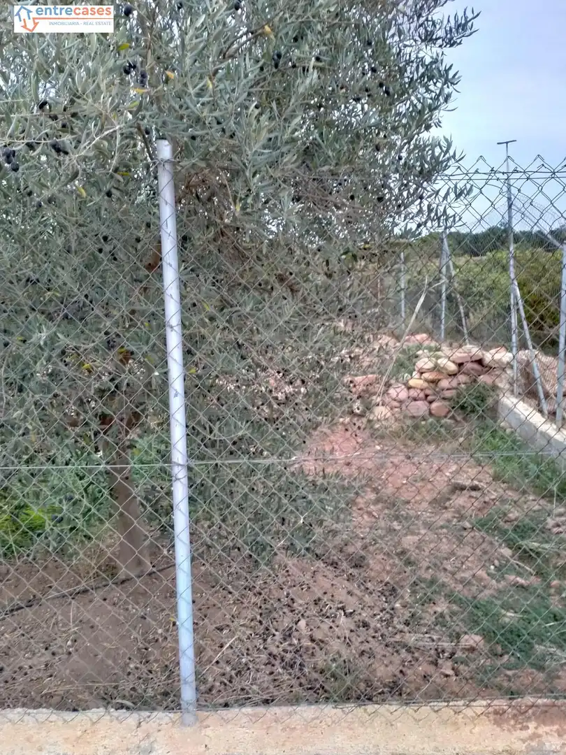 Rural land for sale in Petrés, imagen 11