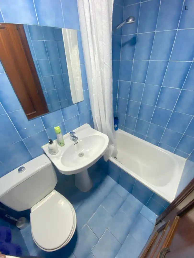 Bathroom of Apartments for rent in Valencia  with Furnished, Oven and Washing machine