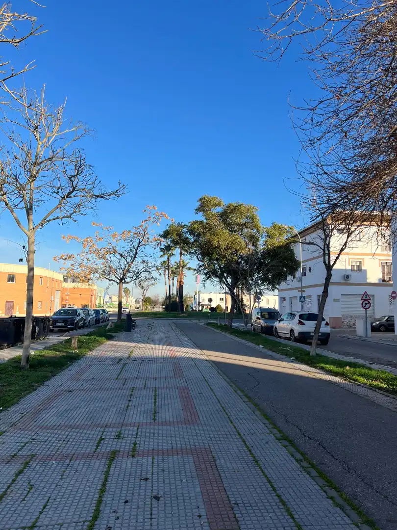 Vista exterior de Local en venta en Los Palacios y Villafranca