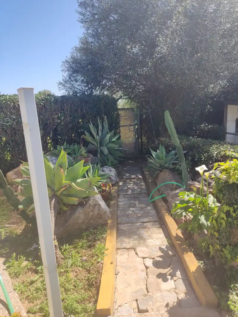 Jardí de Edifici en venda en Benalup-Casas Viejas amb Piscina comunitària