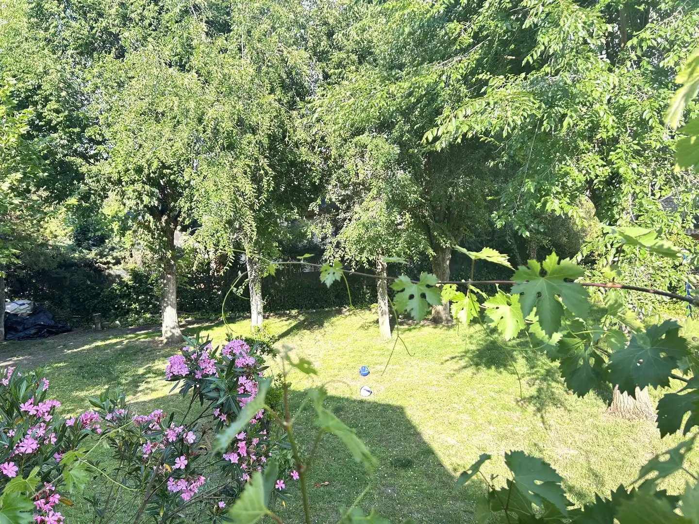Jardín de Casa o chalet de alquiler en Tudela de Duero con Calefacción, Jardín privado y Amueblado