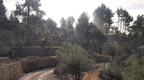 Photo 4 of Land for sale in Diseminado Sector Numero 1, 14, Fornalutx, Illes Balears